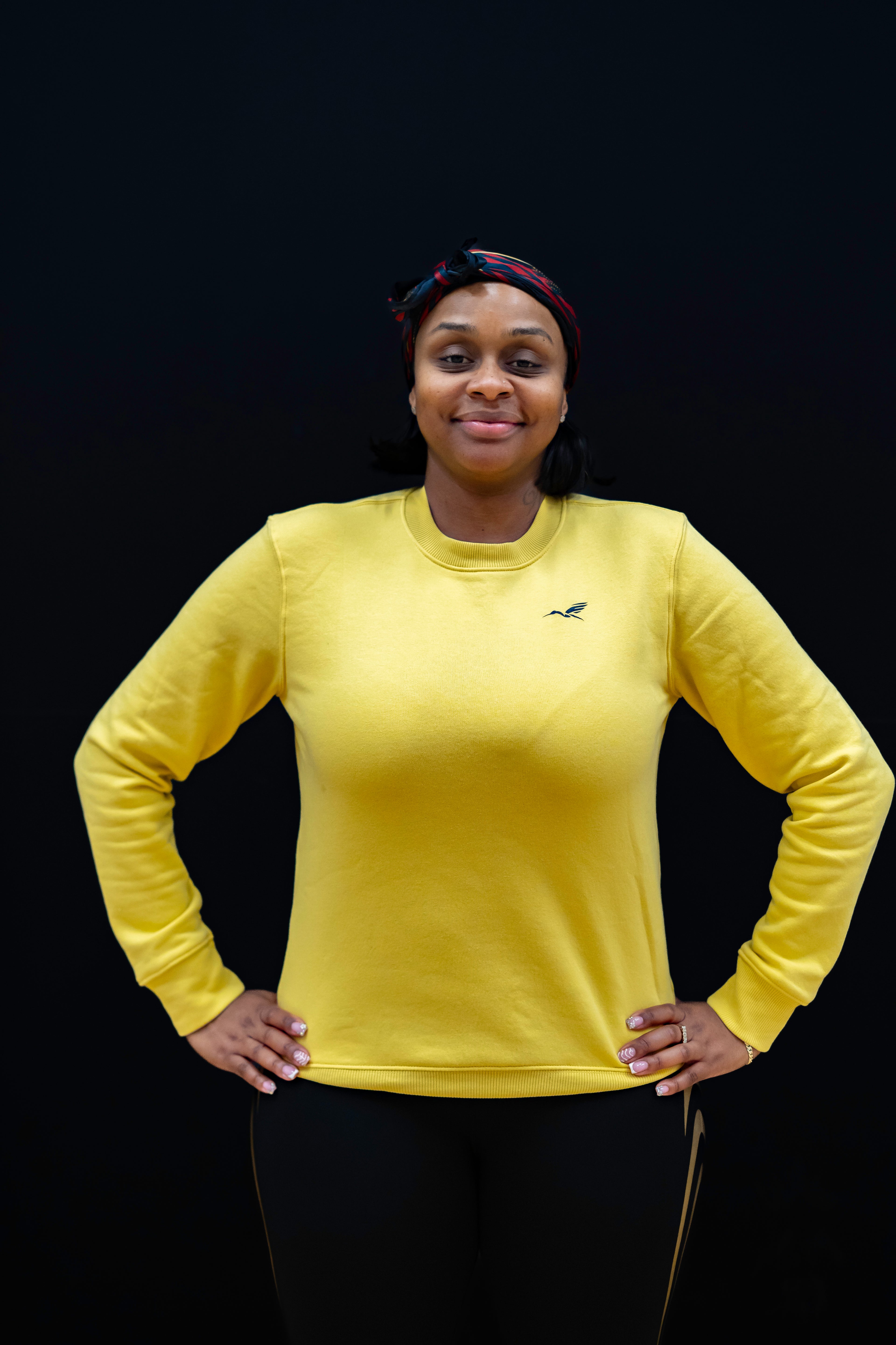 Premium Bumblebee Sweater