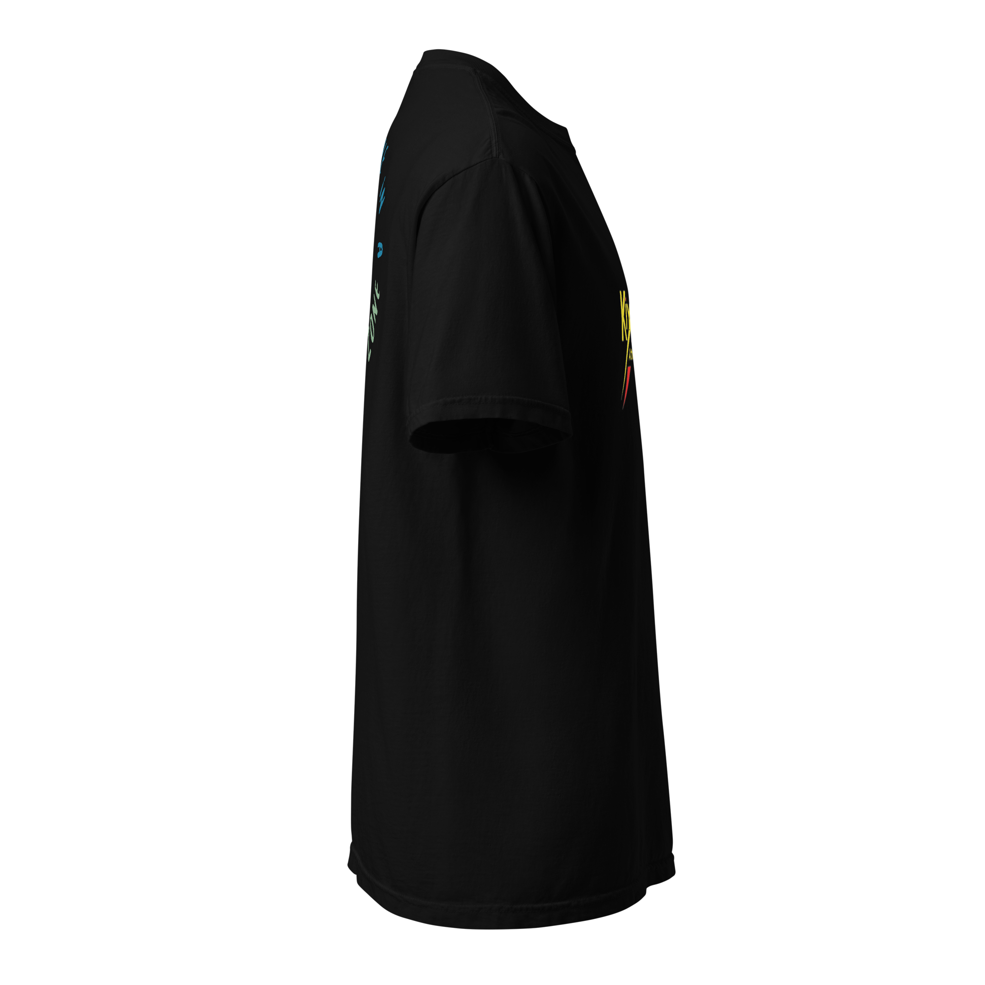 Unisex heavyweight t-shirt