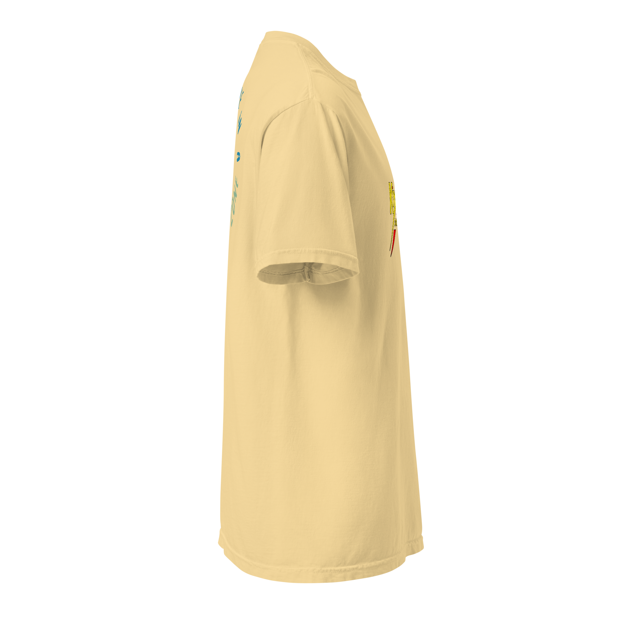 Unisex heavyweight t-shirt