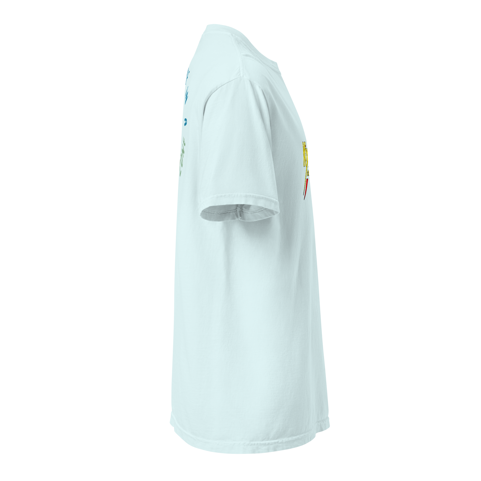 Unisex heavyweight t-shirt