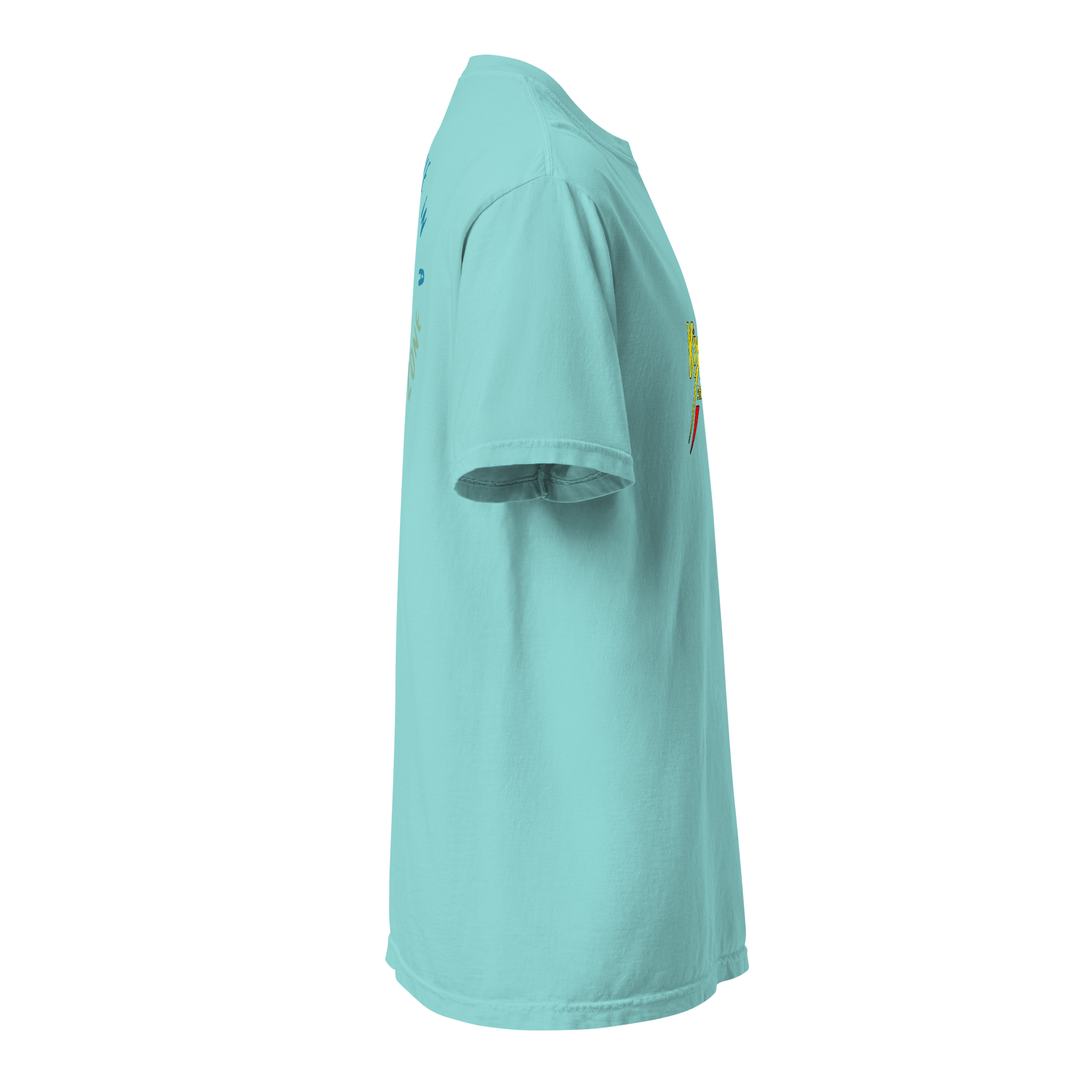 Unisex heavyweight t-shirt