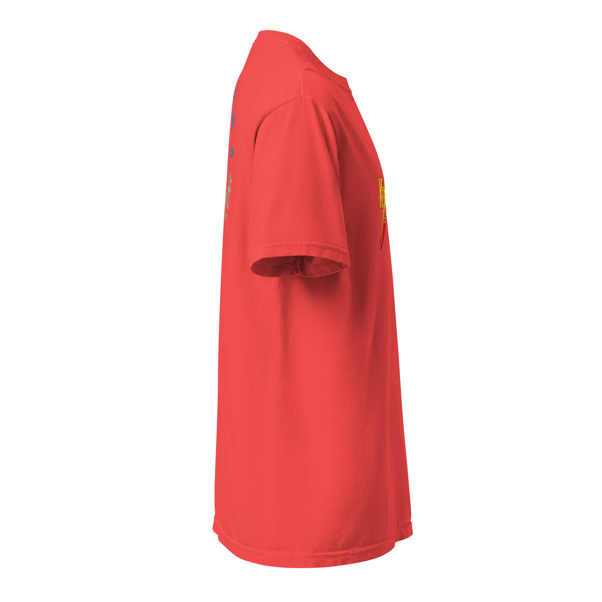 Unisex heavyweight t-shirt